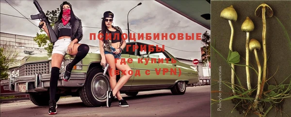 mdpv Мегион