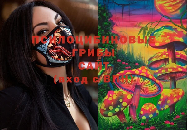mdpv Мегион